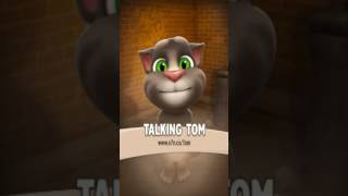 Talking Tom Reversed