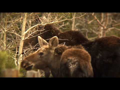 Breathe Full Documetary Teaser