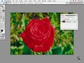 VTC Photoshop Tutorial - Masking Techniques pt. 1