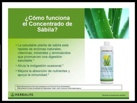 Las sustancias alimentos para quitar la grasa del cuerpo que estas Alcachofa alimentos para quitar la grasa del cuerpo gusto tendrs infusin