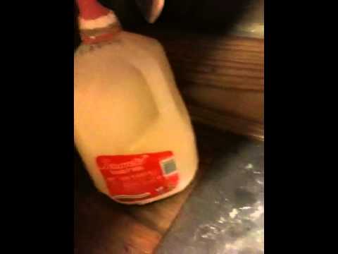 ve fermented my mash for three days now. The mash recipe is one to
