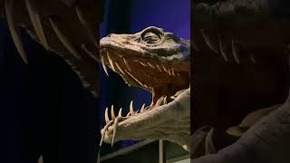 The Chamber Of Secrets Basilisk Harry Potter Studio Tour Featuring Aragog