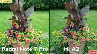 Redmi Note 7 Pro Vs Mi A2 Camera Comparison A2 Vs Note 7 Pro Camera