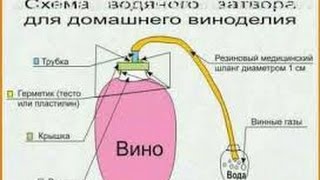 Как сделать вино из фотографий Как сделать вино из фотографий