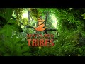 Crossdressing in the Jungle Crossdressing in the Jungle