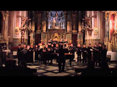 Requiem Alemán, Johannes Brahms, Selig sind, die da Leid tragen