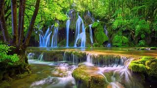 Meditation Music | Calm Music, Relaxing Music, Stress Relief, Sleep Sounds, Yoga, Spa