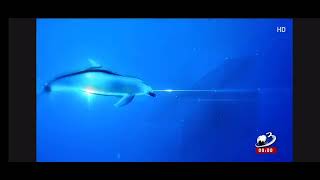 Ident Avertizare Antena 3 169 2016-2019