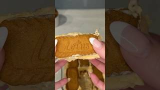 Viral Biscoff Cookie Ice Cream Sandwiches Recipe