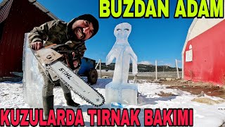 Testere İle Buza Daldikadam Yaptikyumurta Çatlatan Ayazkuzularda Tirnak Bakimi