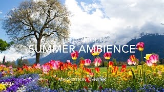 Nature Sounds Relaxing Nature Sound Of Summer Ambience No Music Nature Sounds Relaxing Nature Sound Of Summer Ambience No Music