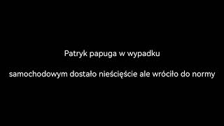 Rio And Patrick The Parrot And Blus Rescue Deleted Scene Version English Telewizjal4Ine