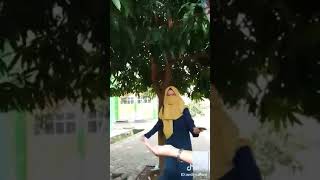 Video 1522637315