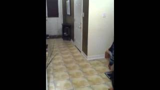 African Shuffle