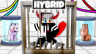 Becoming A Hybrid In Minecraft Hindi
