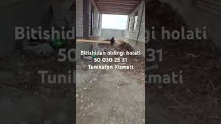 Tunikafon Bitgan Holatini Alohida Joyladm Bundan Oldingi Vidoeda