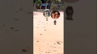 Alvin And The Chipmunks Vs Chip N Dale