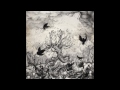 Long Arm - Double Bass In Love - 2011