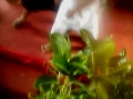 Anak Layang images Anak Layang