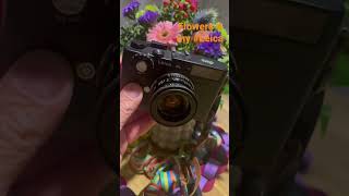My Little Cl. 35Mm Deluxe For A Good Price. Made With