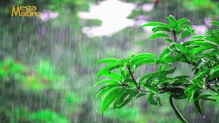 MegaMauro: Refreshing rain