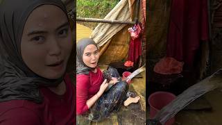 Gadis Pedalaman Mandi Di Jamban Tradional