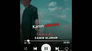 Mehmet Bey Canın Olurum