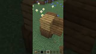 Building A MiniTown - Minecraft Short