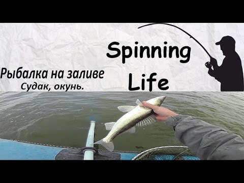 рыбалка на спиннинг на финском заливе рыбалка на спиннинг на финском заливе