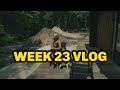 Week 23 vlog | Heiloo | Terschelling