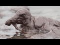 3 Years On, BP Oil Spill Effects Linger