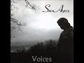 Sara Ayers - Voices 2