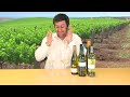 Wine Week 145: Sour grapes over Sauvignon Blanc?