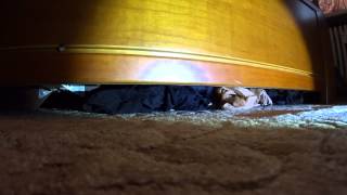 Vacuuming Hose And Stockings Under My Bed
