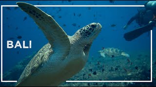 Relaxing Underwater footage with Animals and Music for 10 minutes.