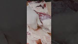 Pulling A Beef Flank Steak So Satisfying.