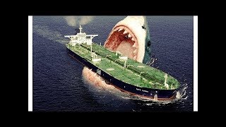 TOP 25 Ultimate Animals You Won't Believe Existed!