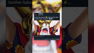 When This Moment Luffy Meet His Olde Brother Sabo A Long Time