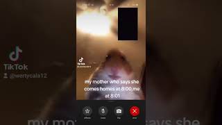 Hamster At Phone