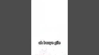 Buaya Gile