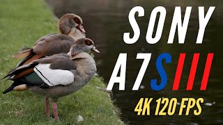 Sony A7Siii Sequence - 4K 120 Fps - Slog 3 - 10 Bit