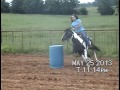 Skeeter- beautiful paint pony -13 1/2 hands tall