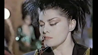 Dalbello - Tango