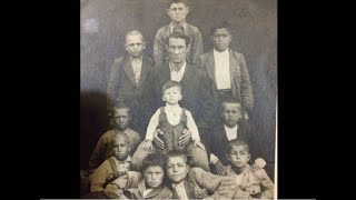 Dünyanin Bütün Çi̇çekleri̇ Hi̇kayesi̇