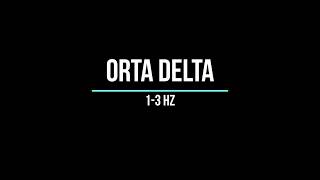 Orta Delta Dalgası 1- 3 Hz