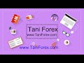 Forex Videos 23 Renko Street STF Signals & Trend Indicator Free Download | Best Forex Trading Indicator Of The World
