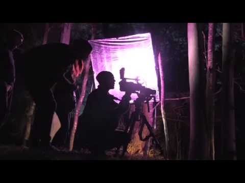 Leena - Universe Can Wait (Behind The Scenes)