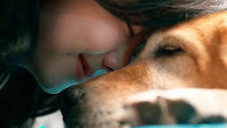 Собачья Жизнь: Друзья Навек — Русский Трейлер (2024)