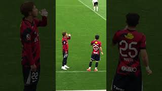C819SRihrsk Video Image