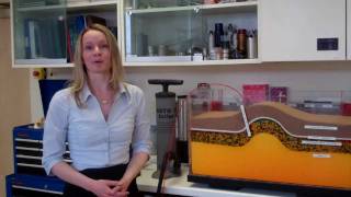 Demonstrating carbon capture and storage